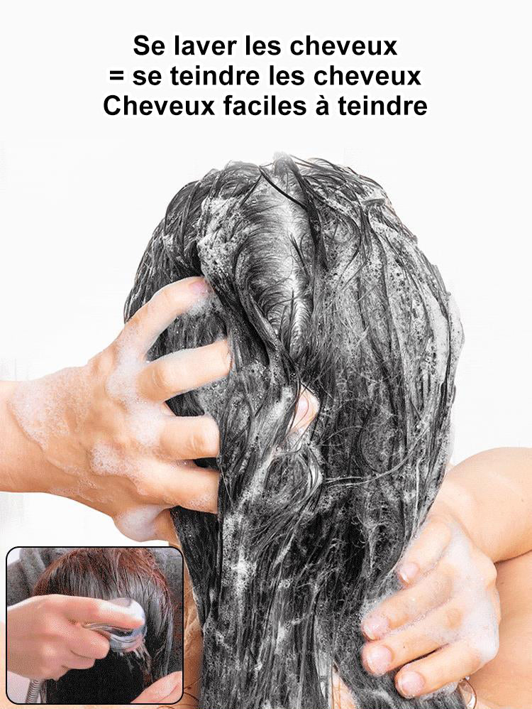 Extrait de plante pure pour la teinture à bulles de couleur de cheveux gris (ACHETER 2 LIVRAISON GRATUITE)