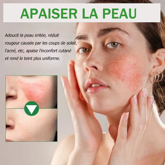 Correcteur nourrissant pour la peau aux extraits naturels purs